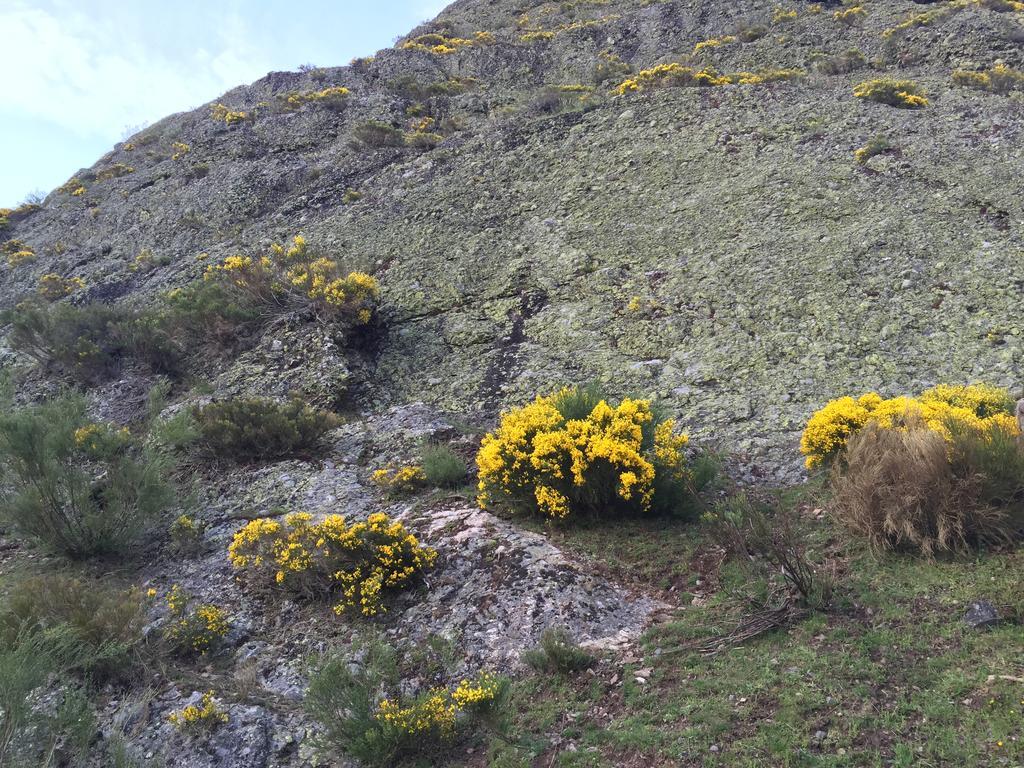 El Invernal De Picos Portilla de la Reina Luaran gambar