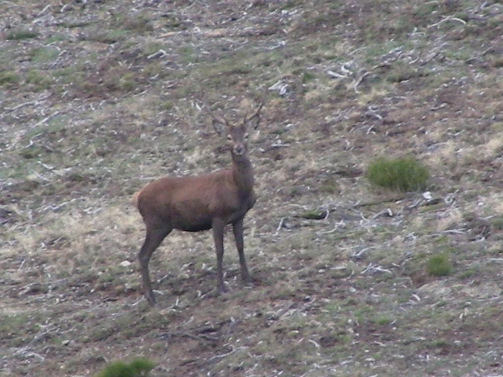 El Invernal De Picos Portilla de la Reina Luaran gambar