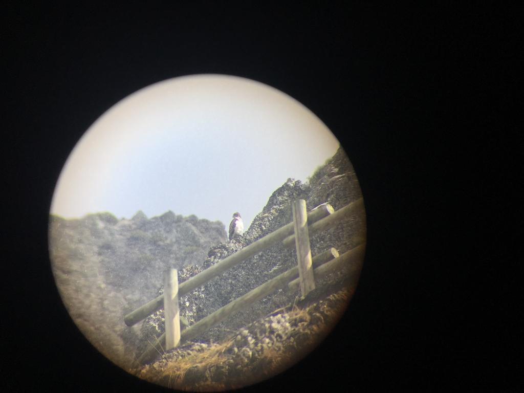 El Invernal De Picos Portilla de la Reina Luaran gambar